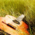:iconnefiret: