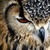 :iconnefret-ra: