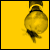 :iconnegative-vision: