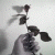 :iconnegativefreak: