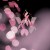 :iconnegativexlight:
