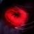 :iconnegazell: