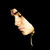 :iconneggazjp: