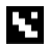 :iconnegligentsquid: