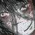 :iconnehiko: