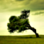 :iconnei-fuma: