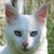 :iconneige-kinder: