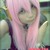 :iconneiyha: