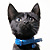 :iconneko--cat: