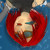 :iconneko-designer: