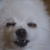 :iconneko-faust: