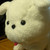 :iconneko-oneechan: