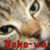 :iconneko-wa: