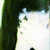 :iconneko0haru: