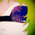 :iconneko2chan: