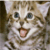 :iconnekobear: