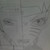 :iconnekochan55: