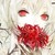 :iconnekohanachan: