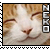 :iconnekoloverplz: