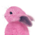 :iconnekonatsume: