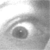 :iconnekonekoneko: