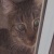 :iconnekopine-eater: