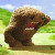:iconnekoribbon: