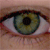 :iconnekowafer: