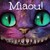 :iconnekowl: