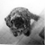 :iconnel0505: