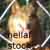 :iconnellaf-stock: