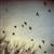 :iconnellie-may: