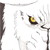 :iconnelly315: