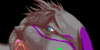 :iconneltyplz: