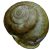 :iconneme5is: