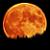:iconnemo-wolf: