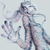 :iconnemo13: