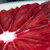 :iconnemonemodory: