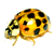 :iconNeo3004: