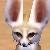 :iconneoblackwolf: