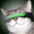 :iconneocat1993: