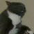 :iconneolannia: