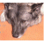 :iconneomill: