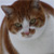 :iconneon-orange-bubbles: