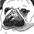 :iconneonattack: