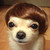 :iconneoncypher: