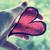 :iconneonflames: