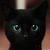 :iconneongreenbootlaces: