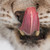 :iconneonless: