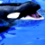 :iconneontragedy: